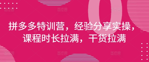 拼多多特训营，经验分享实操，课程时长拉满，干货拉满(更新25年4月)-佳佳云创网