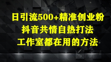 日引流500+精准创业粉，抖音共情自热打法，工作室都在用的方法-佳佳云创网