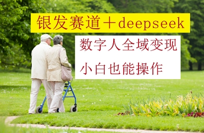 银发赛道+deepseek数字人全域变现，小白也能操作-佳佳云创网