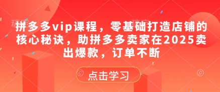 拼多多vip课程，零基础打造店铺的核心秘诀，助拼多多卖家在2025卖出爆款，订单不断-佳佳云创网