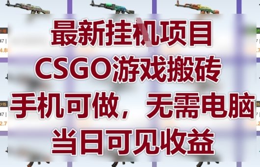 最新挂G项目，CSGO游戏搬砖，手机可做，无需电脑，当日见收益【揭秘】-佳佳云创网