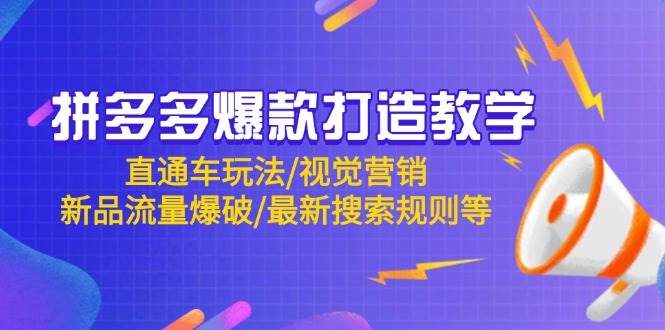 （14681期）拼多多爆款打造教学：直通车玩法/视觉营销/新品流量爆破/最新搜索规则等-佳佳云创网