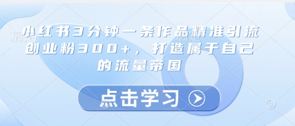 小红书3分钟一条作品精准引流创业粉300+，打造属于自己的流量帝国-佳佳云创网