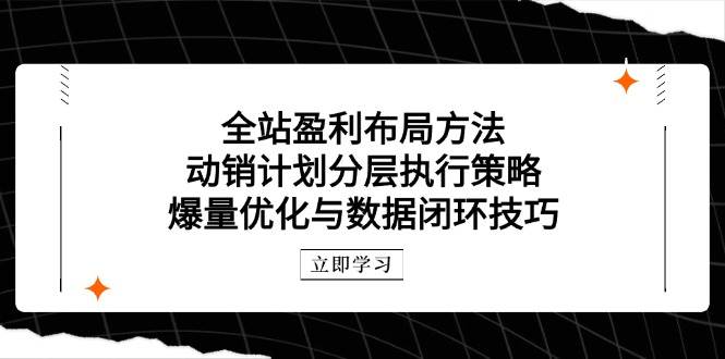 （14698期）全站盈利布局方法：动销计划分层执行策略，爆量优化与数据闭环技巧-佳佳云创网