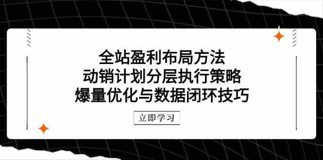 全站盈利布局方法：动销计划分层执行策略，爆量优化与数据闭环技巧-佳佳云创网