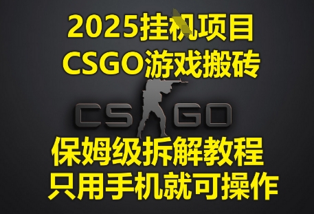 2025挂G项目，CSGO游戏搬砖，保姆级拆解教程，只用手机就可操作【揭秘】-佳佳云创网