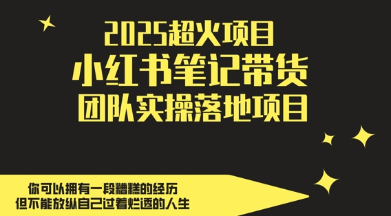2025超火项目，副业最佳选择，小红书笔记带货团队实操落地项目，，轻松日入5张-佳佳云创网