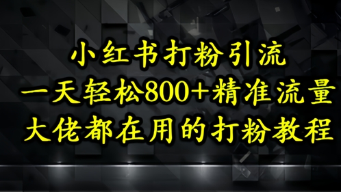 小红书打粉引流，一天轻松500+精准流量，大佬都在用的打粉教程-佳佳云创网