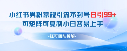 小红书男粉常规引流不封号日引99+变现简单 可矩阵可复制小白容易上手-佳佳云创网