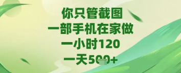 你只管截图，一部手机在家做，苹果安卓都可以，一天5张+【揭秘】-佳佳云创网