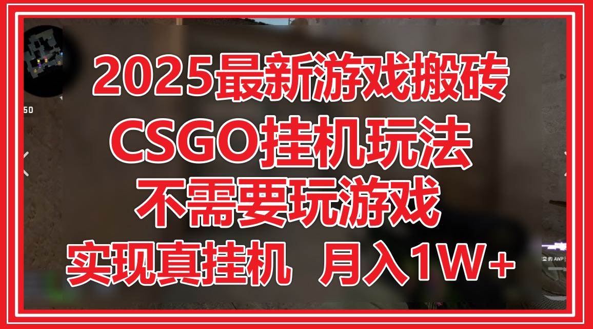 （14743期）2025最新游戏搬砖，CSGO挂机，不需要玩游戏，实现真挂机，月入1W+-佳佳云创网