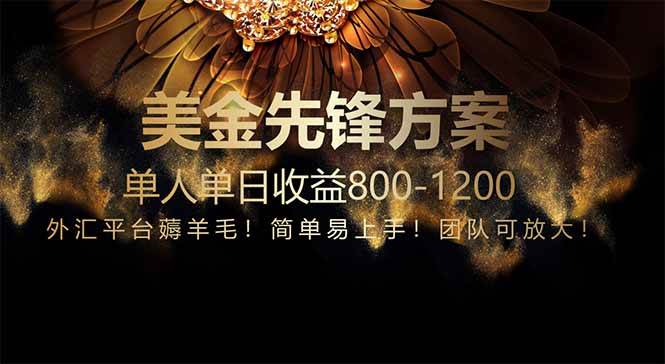 （14761期）免费技术！小众赛道！一年布局抵三年努力，每日800+-佳佳云创网