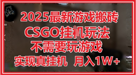 2025最新游戏搬砖，CSGO挂G，不需要玩游戏，实现真挂G，月入1W+【揭秘】-佳佳云创网