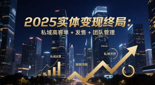 2025实体变现终局：私域高客单+发售+团队管理-佳佳云创网