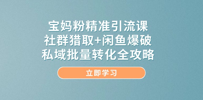 （14820期）宝妈粉精准引流课，社群猎取+闲鱼爆破，私域批量转化全攻略-佳佳云创网