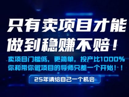 只有卖项目才能做到稳挣不赔，门槛低，更简单，你也可以年入百个W【揭秘】-佳佳云创网