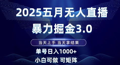 2025五月无人直播暴力掘金3.0，当天上手，当天拿结果，单号日入1k+小白可做可矩阵【揭秘】-佳佳云创网