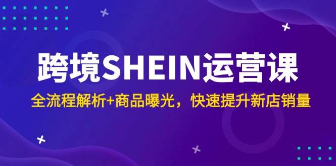 （14832期）跨境SHEIN运营课，全流程解析+商品曝光，快速提升新店销量-佳佳云创网