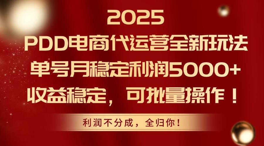 （14839期）2025PDD电商代运营全新玩法，单号月稳定利润5000+，收益稳定，可批量操作-佳佳云创网