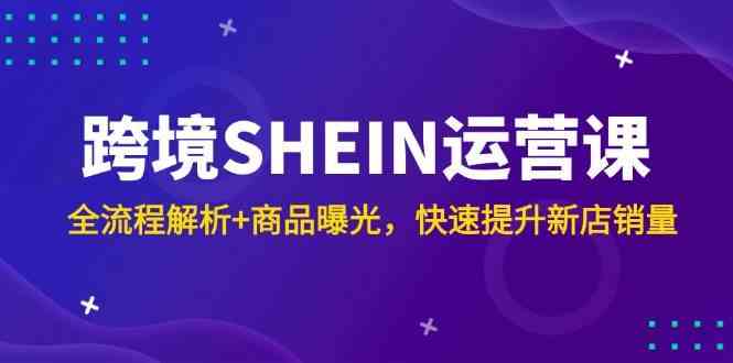 跨境SHEIN运营课，全流程解析+商品曝光，快速提升新店销量-佳佳云创网