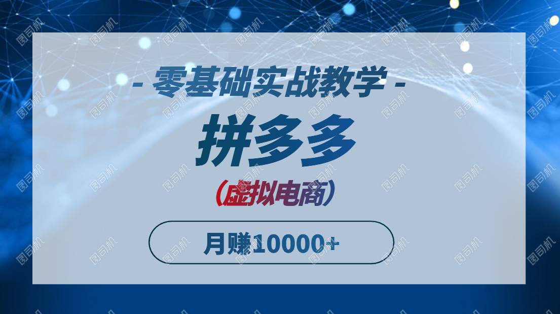 （14880期）拼多多虚拟电商，零基础实战教学，快速打爆商品，新手也能月入10000+-佳佳云创网