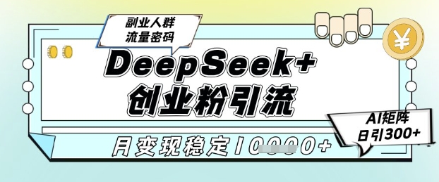 DeepSeek+创业粉精准引流，全新分享课4.0玩法，AI矩阵日引300+，多种变现方式，稳定月入1W-佳佳云创网