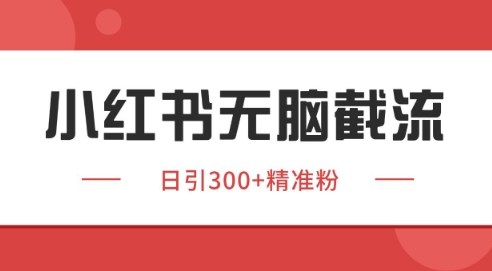 小红书截流同行客源，独家野路子获客玩法 日引200+暴力获客【揭秘】-佳佳云创网