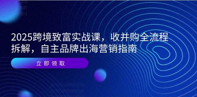 （14975期）2025跨境致富实战课，收并购全流程拆解，自主品牌出海营销指南-佳佳云创网