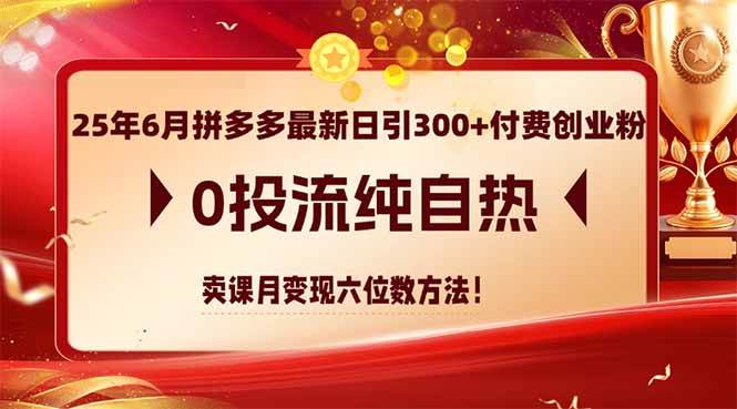 （14989期）25年6月拼多多最新日引300+付费创业粉，0投流纯自热 卖课月变现六位数方法-佳佳云创网