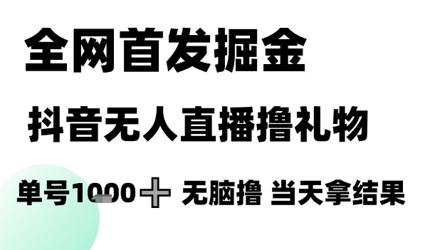 全网首发掘金抖音无人直播撸礼物，单号1k +无脑撸，当天拿结果【揭秘】-佳佳云创网