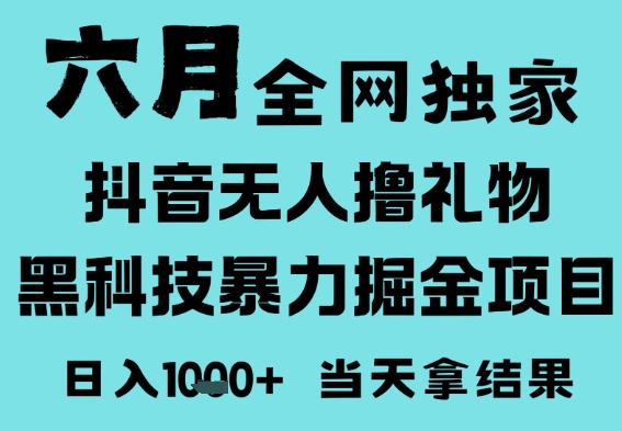 25年6月高爆抖音无人直播最新撸音浪掘金项目，门槛低小白可做，无脑日入1k，可矩阵放大【揭秘】-佳佳云创网