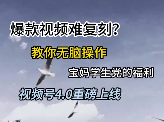 视频号4.0重磅上线，爆款视频难复刻？教你无脑操作宝妈学生党的福利【揭秘】-佳佳云创网