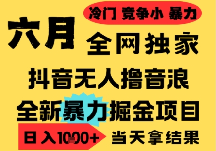25年6月高爆抖音无人直播最新撸音浪掘金项目，小白可做，无脑日入1k+，门槛低可批量矩阵【揭秘】-佳佳云创网