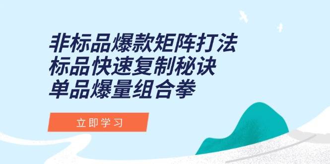 （15068期）非标品爆款矩阵打法，标品快速复制秘诀，单品爆量组合拳-佳佳云创网