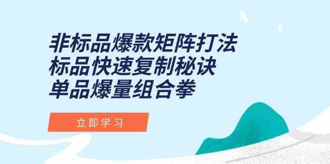 非标品爆款矩阵打法，标品快速复制秘诀，单品爆量组合拳-佳佳云创网