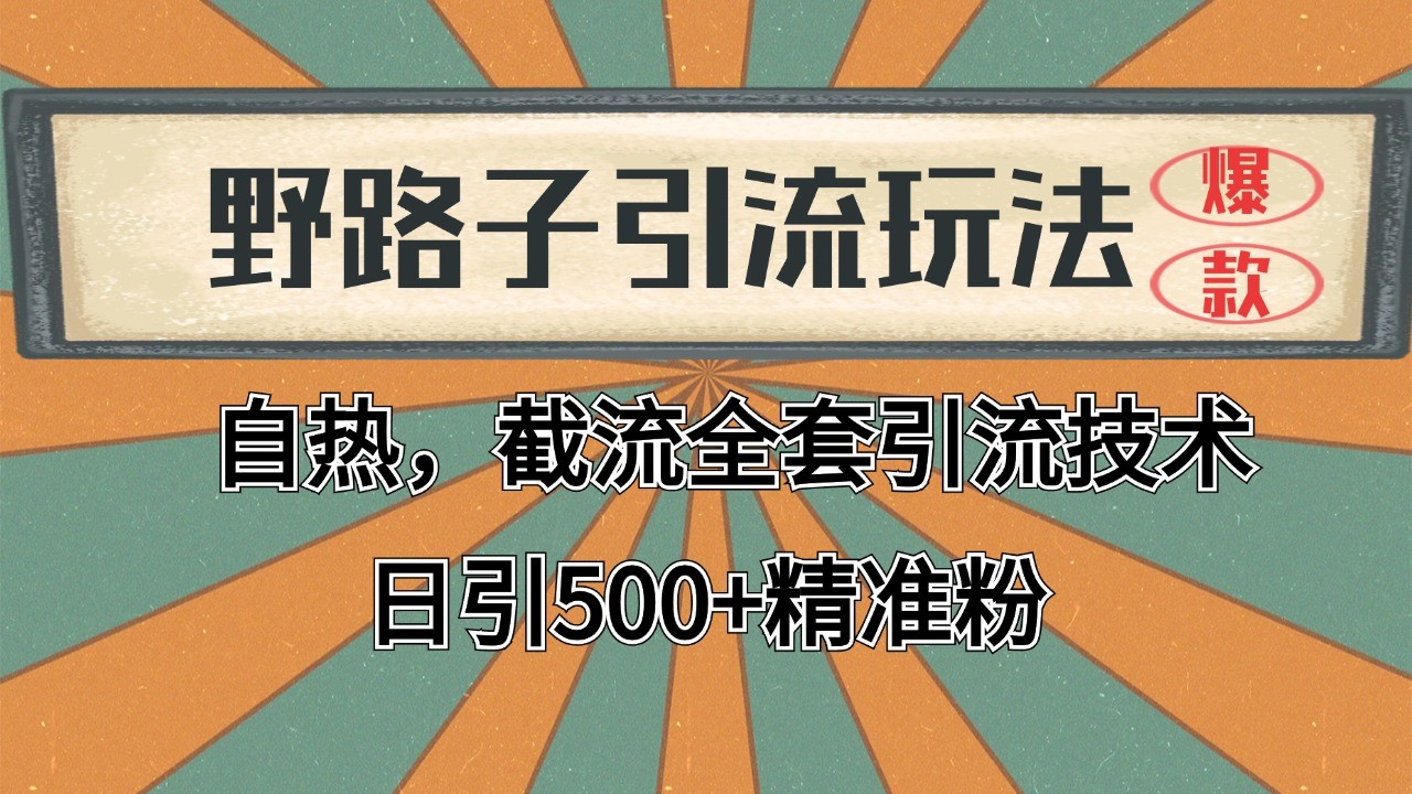 2024首发野路子引流玩法截流自热全平台打法，全自动引流【日引2000+精准客户】-佳佳云创网