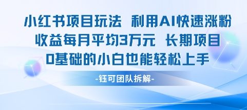 适合小白操作的小红书新项目，利用AI快速涨粉，收益每月平均1W+-佳佳云创网
