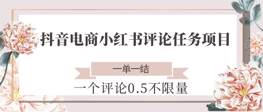 抖音电商小红书评论任务项目，一个评论0.5，一单一结 不限量-佳佳云创网
