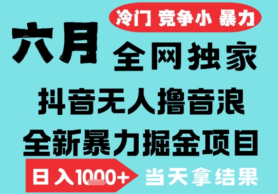 2025年6月高爆抖音无人直播最新撸音浪掘金项目，无脑日入1k+，低门槛小白可做，可矩阵放大【揭秘】-佳佳云创网