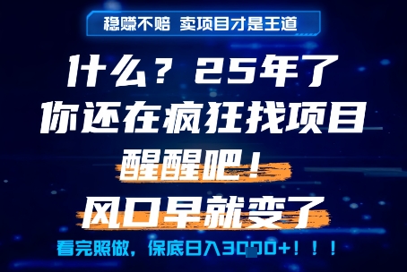 什么？25年你还在疯狂找项目做，醒醒吧，看完这些你全都懂了！【揭秘】-佳佳云创网