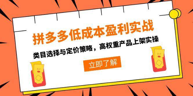 （15143期）拼多多低成本盈利实战，类目选择与定价策略，高权重产品上架实操-佳佳云创网
