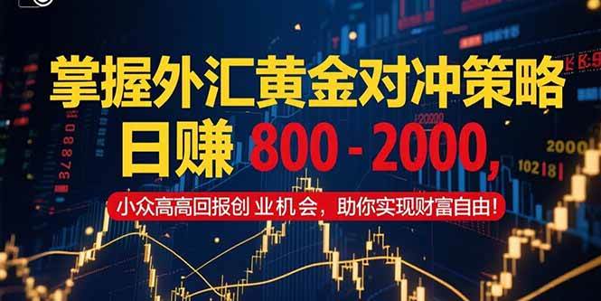 （15198期）掌握外汇黄金对冲策略，日赚 800 – 2000，小众高回报创业机会，助你实…-佳佳云创网