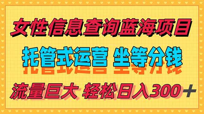 （15216期）稳定日入300＋，小众信息查询蓝海项目，全程懒人式托管，解放你的时间-佳佳云创网