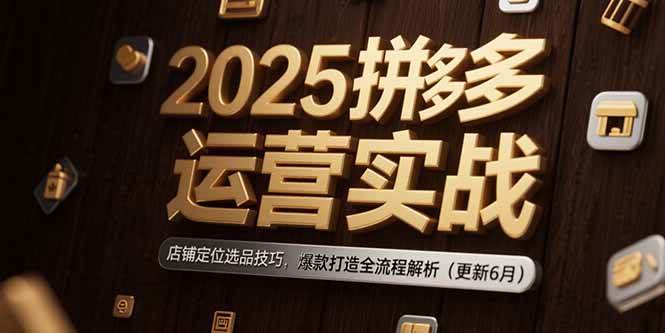 （15235期）2025拼多多运营实战：店铺定位选品技巧，爆款打造全流程解析（更新6月）-佳佳云创网