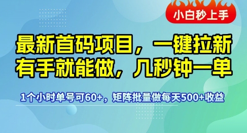 最新首码项目，一键拉新有手就能做，几秒钟一单，1个小时单号可60+，矩阵批量做每天5张【揭秘】-佳佳云创网