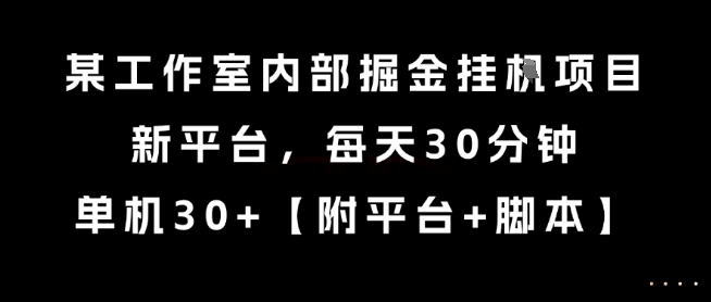 某工作室内部掘金挂G项目，新平台，每天30分钟，单机30+【揭秘】-佳佳云创网