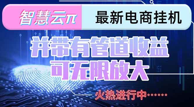 （15314期）智慧云π电脑挂机单机每天收益300—500+ 并带有团队管道收益 可无限放大-佳佳云创网