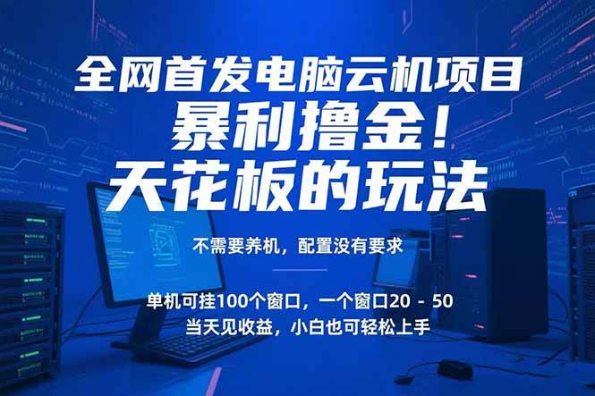（15323期）电脑云机项目 暴力撸金玩法，不需要养机 配置没有要求 单机100个窗口一…-佳佳云创网
