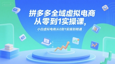 拼多多全域虚拟电商从零到1实操课，小白虚拟电商从0到1实操到精通-佳佳云创网
