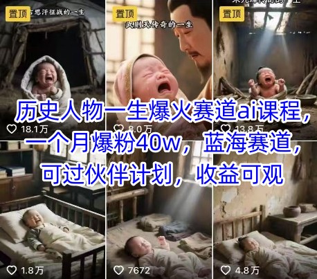 历史人物一生爆火赛道ai课程，一个月爆粉40w，蓝海赛道，可过伙伴计划，收益可观-佳佳云创网